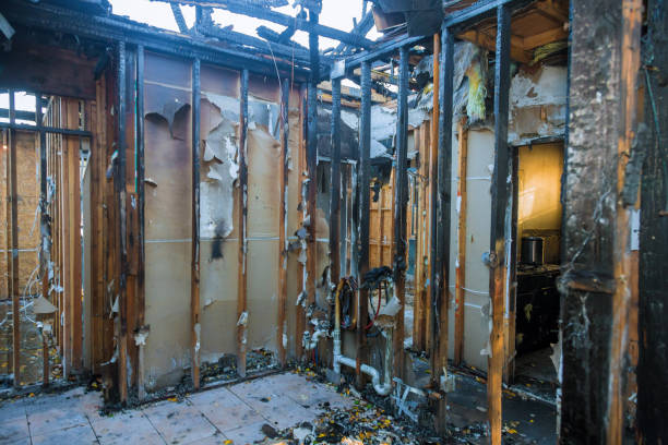 Professional Fire Damage Removal technician working in Pinellas Park, FL