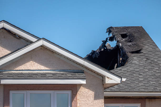 Top rated local Fire Damage Removal specialists in Pinellas Park, FL